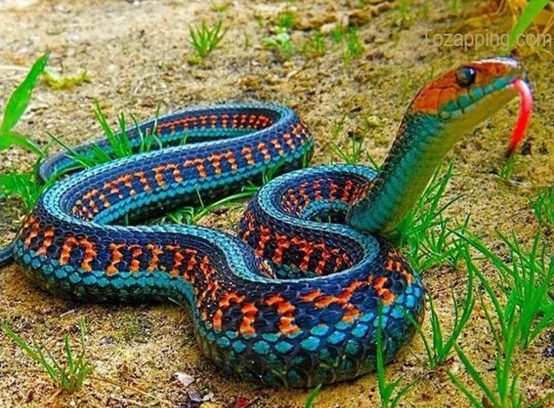 Fotos de la naturaleza Novedades
