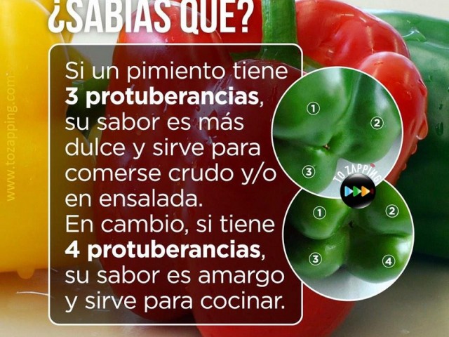 Pimiento morrón propiedades y beneficios Novedades