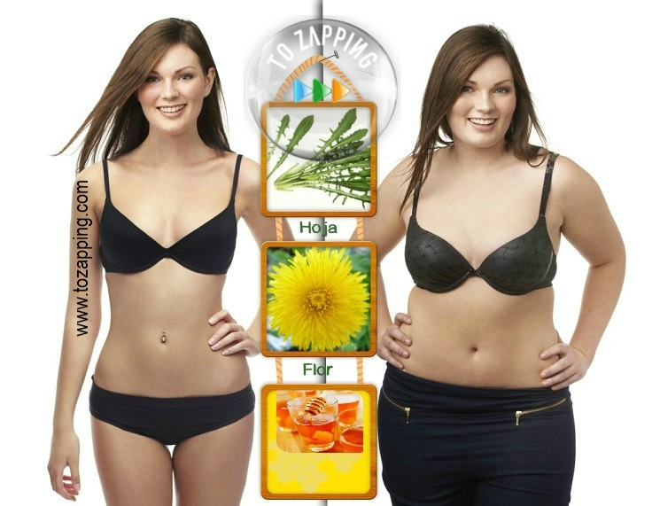 Queremos suplementos dietГ©ticos contra el envejecimiento cerebral Nerviosa: sufren aquellas suplementos dietГ©ticos contra el envejecimiento cerebral
