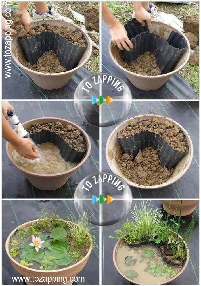 Cómo hacer un mini estanque